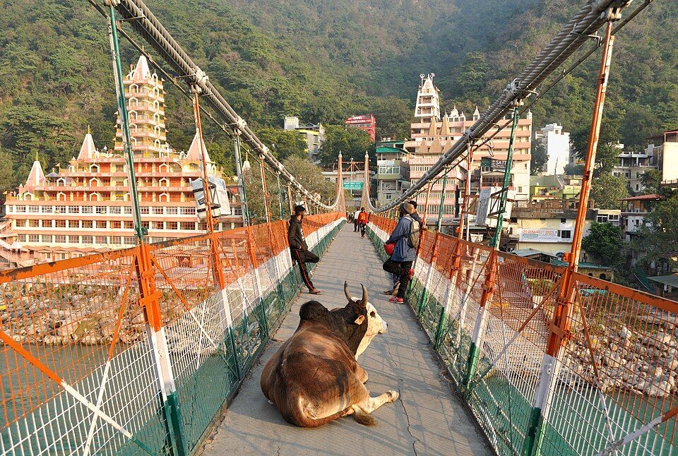 Laxman Jhula bridge over the Ganges in Rishikesh